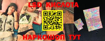 шишки Заводоуковск