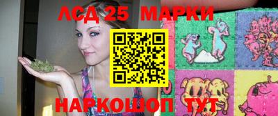 шишки Заводоуковск