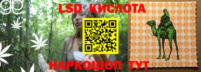 шишки Заводоуковск