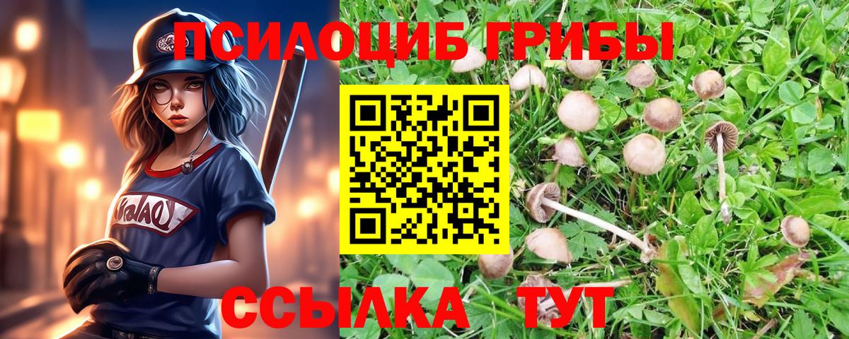 Галлюциногенные грибы GOLDEN TEACHER  Галлюциногенные грибы Psilocybine cubensis  Миасс  Вход с VPN 